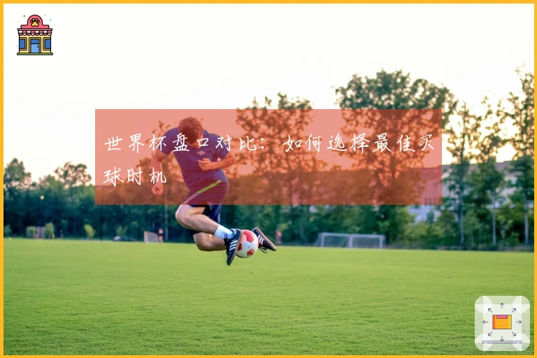 世界杯盘口对比：如何选择最佳买球时机