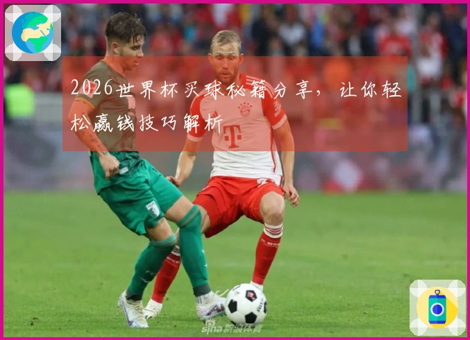 2026世界杯买球秘籍分享，让你轻松赢钱技巧解析
