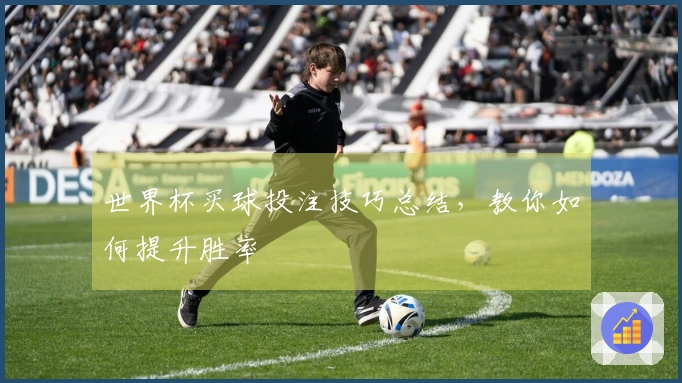 世界杯买球投注技巧总结，教你如何提升胜率