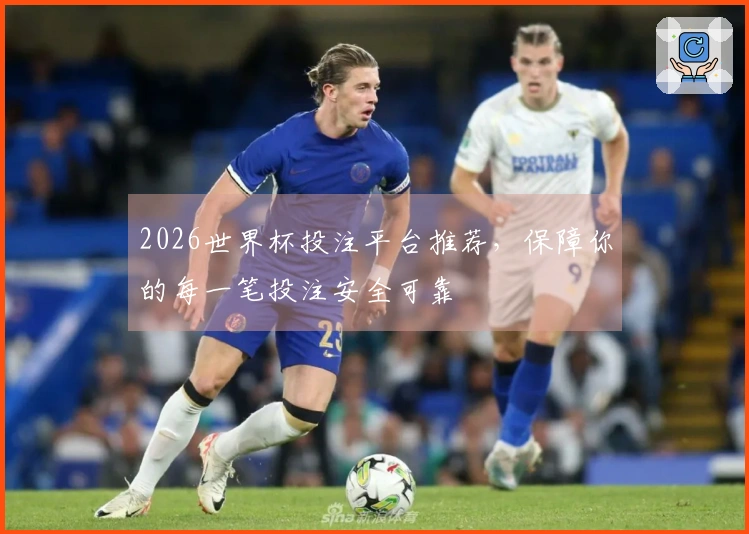 2026世界杯投注平台推荐，保障你的每一笔投注安全可靠