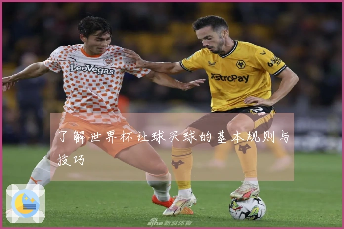 了解世界杯让球买球的基本规则与技巧