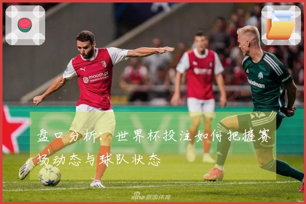 盘口分析：世界杯投注如何把握赛场动态与球队状态