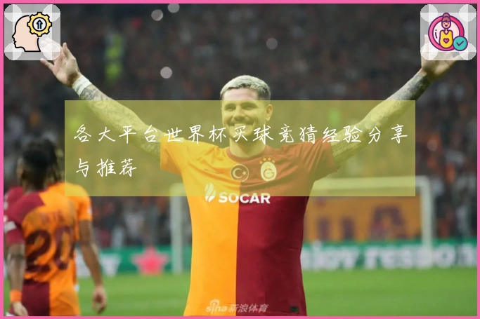 各大平台世界杯买球竞猜经验分享与推荐