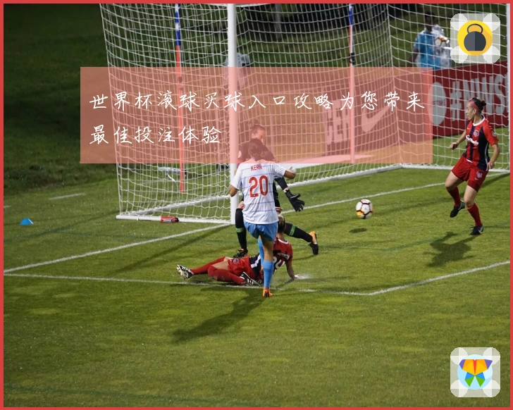 世界杯滚球买球入口攻略为您带来最佳投注体验