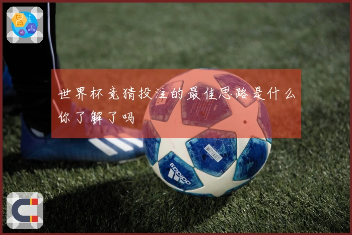 世界杯竞猜投注的最佳思路是什么你了解了吗