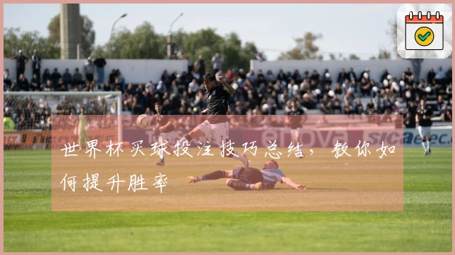 世界杯买球投注技巧总结，教你如何提升胜率