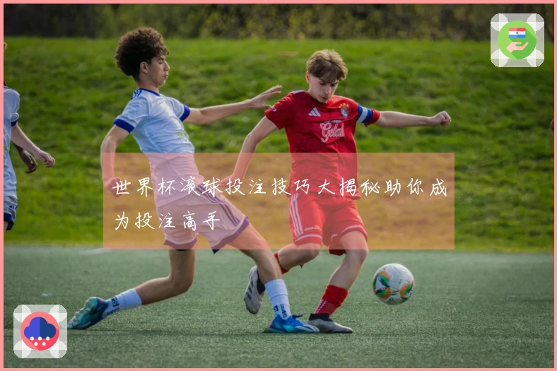 世界杯滚球投注技巧大揭秘助你成为投注高手