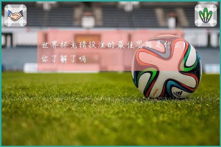 世界杯竞猜投注的最佳思路是什么你了解了吗