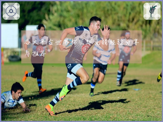 各大平台世界杯买球竞猜经验分享与推荐