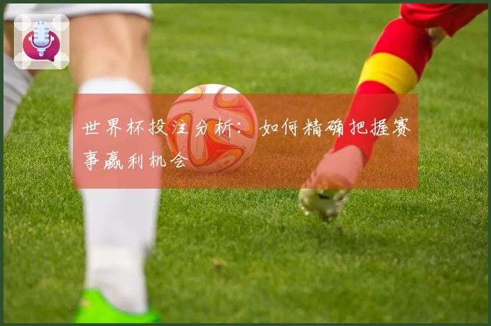 世界杯投注分析：如何精确把握赛事赢利机会