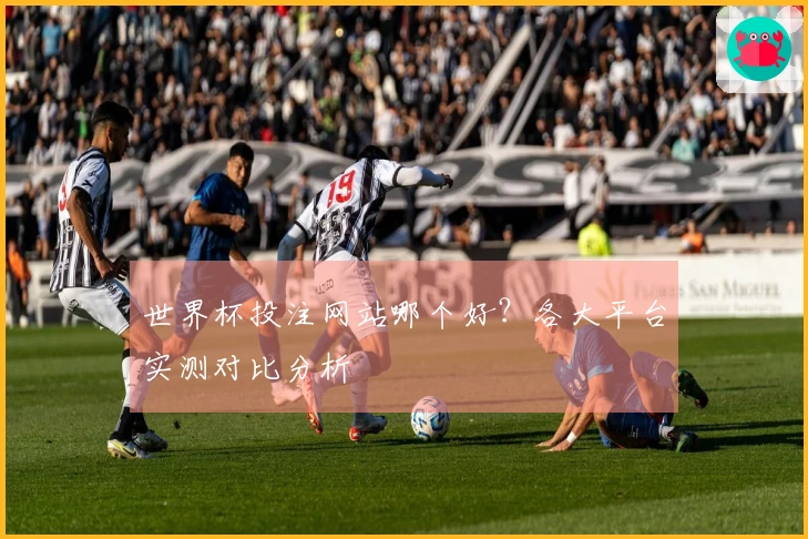 世界杯投注网站哪个好？各大平台实测对比分析